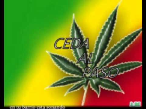 Ceda Al Paso   Te Encontre