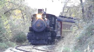 preview picture of video 'Texas State Railroad 201 Runby at Gibson Rd.'