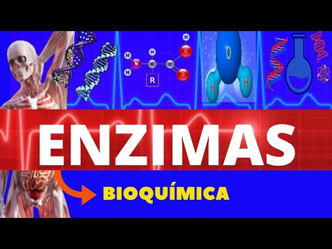ENZIMAS - BIOQUÍMICA (ENSINO SUPERIOR) - TUDO SOBRE ENZIMAS - ESTRUTURA E FUNÇÃO DAS ENZIMAS