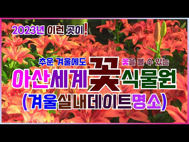 inbot seo 0.1ver