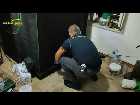 Marijuana in giardino e serra in casa: denunciato a Urbisaglia