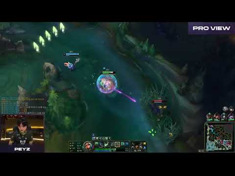 GENG Peyz Zeri Pro View | GENG vs HLE | LCK Spring Playoffs 2023