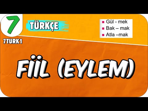 7. Sınıf Türkçe Dersi Konu anlatımları 2024-2025 Tonguç