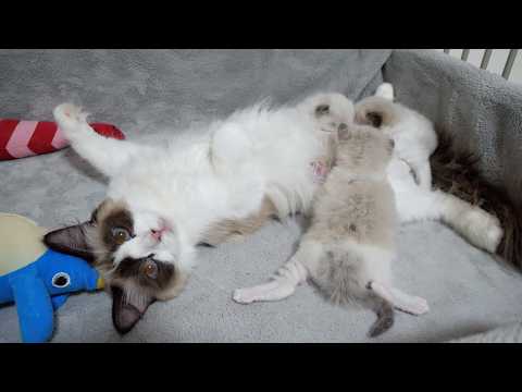 YouTube 썸네일