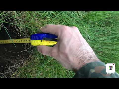 Teknetics Eurotek 8 з Nel Tornado тест на глибину