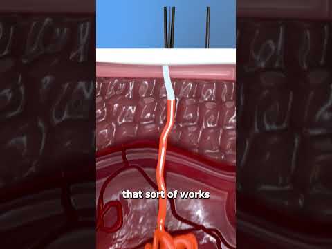 How Antiperspirants Keep You Dry 🤔