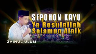 Download lagu SEPOHON KAYU - ZAINUL ULUM - ATTAUFIQ LOVERS MADURA 2025 mp3