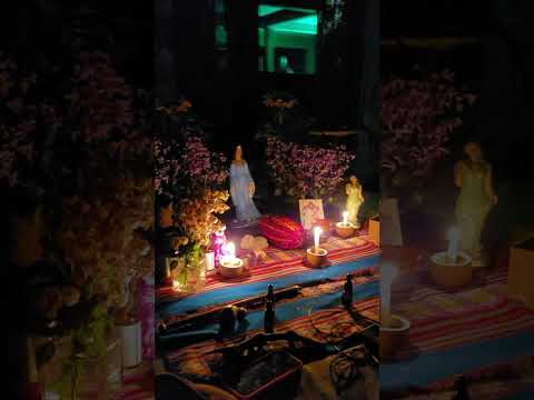 Cacau Deeksha de Primavera por Carol Cristal. Músicos: Laura Catarina e Gustavito Amaral