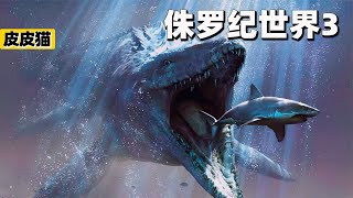 一口一只巨齒鯊，白堊紀真正的地球霸主！