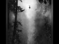 Free Fallin But It S Sad Slowed And Reverb