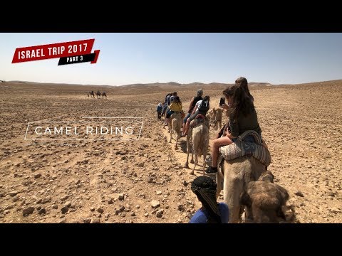 2017 Israel Trip Part 3 Camel Riding