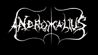 Andromalius - Ser Incomum ( Live Brutal Noise Fest )