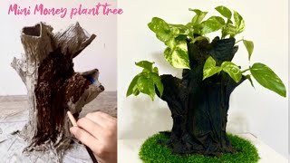 Grow Money Plant Differently, Mini Money Plant Tree