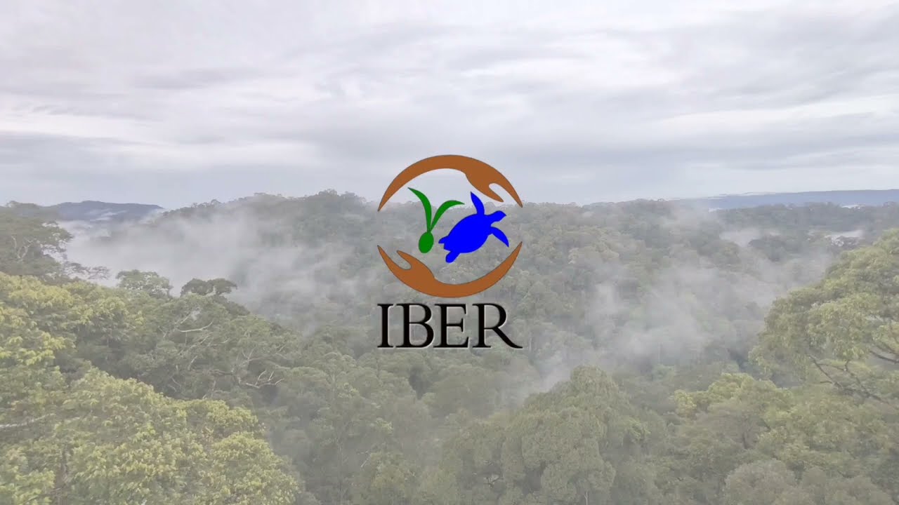 IBER Corporate Video