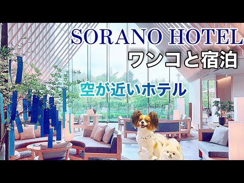 カリフォルニア