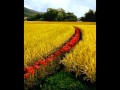Michael Hoppe - Beloved