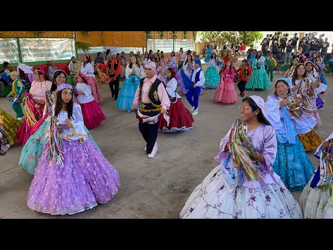 ♥️🤍Gitanos de San Andrés en el Parabién ~ Fiesta San Andrés de Pica 2024♥️🤍