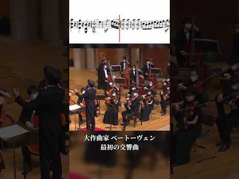 ベートーヴェン / 交響曲第1番 第1楽章より