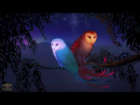 10 Hours FOREST AT NIGHT Crickets Owls Rain Wind in Trees   Relax Study Sleep De Stress 🎧 1440p