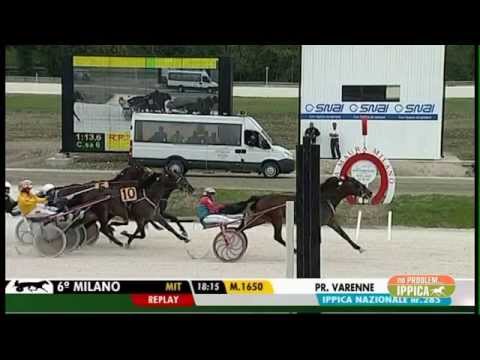 443°NO PROBLEM...IPPICA 28 MAGGIO 2015