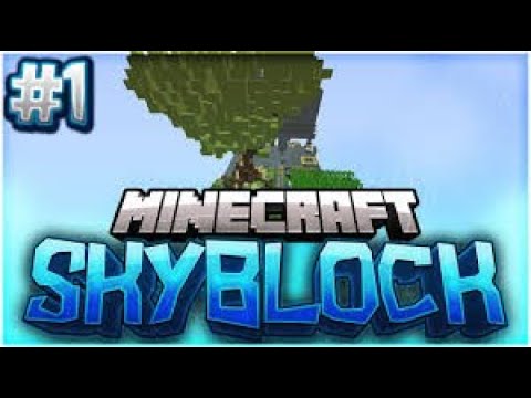 Een dikke Pvp battle op mijn eiland! (Minecraft Skyblock #1)