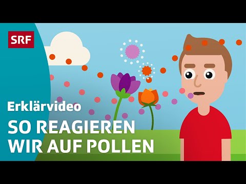 Heuschnupfen / Pollenallergie – einfach erklärt | Kindervideos | SRF Kids