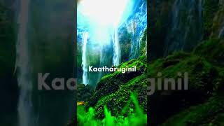 Download lagu Yaar Alaipathu Song 💫whatsapp status _ #music mp3