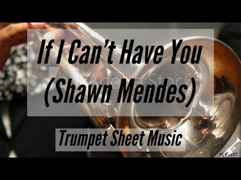 Trumpet - If I Can't Have You - Shawn Mendes - Sheet Music & Piano Accompaniment