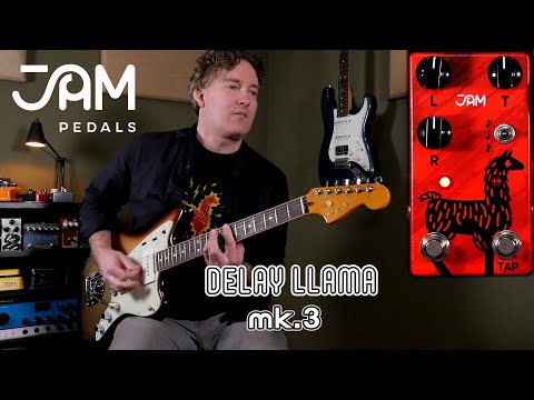 JAM Pedals Delay Llama mk.3 2022 - Reverb Exclusive image 7