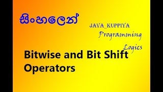 Bitwise And Bit Shift Operators