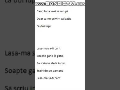 DEMONUL MEU   ANDREEA OLARU