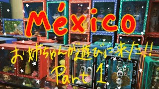 【Vlog】姉が遊びに来た【メキシコ】🇲🇽