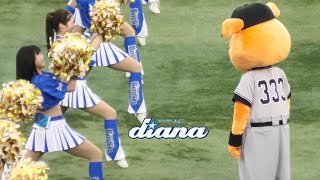 《プロ野球 チアリーダー》横浜DeNAベイスターズ　ディアーナを品定めするジャビット　2024　  baystars  diana  cheerleader 《BraveTV》