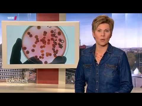 Zwiebel schälen zur Behandlung von Prostatitis Video online kostenlos Prostata-Massage