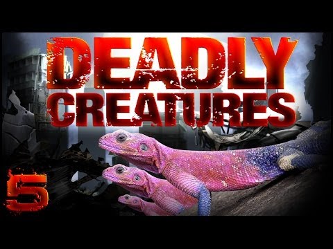 deadly creatures wii soluce