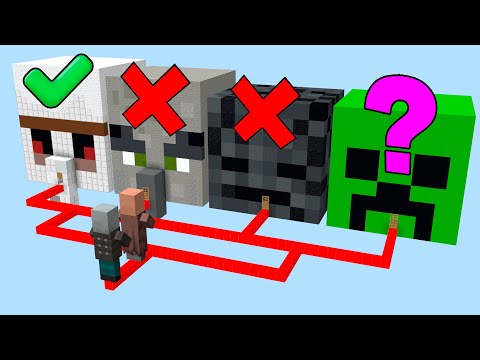 which house will villager choose?