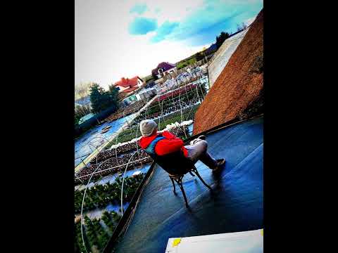 Młody Dino - Helikopter