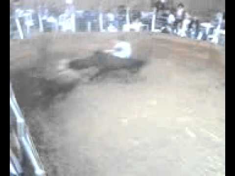 Marcos Trindade com Data Vênia Cartola, prova da mangueira