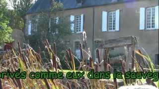 preview picture of video 'Patrimoine : le château de Romenay (Nièvre)'