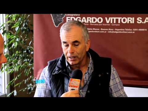 Aire de campo 373- 7ma Temporada