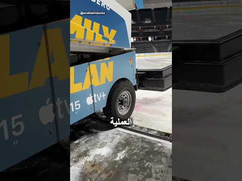 هذا ما يحدث عندما ينتهي موسم الهوكي 🤯