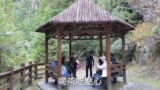大鹿林道西線~榛山步道涼亭