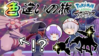 【レジェンズアルセウス】色違いサバイバルの旅！【パート2】【ゆっくり実況】