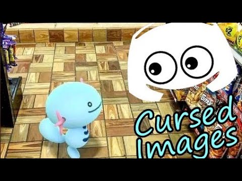 The Most Cursed Images and Gifs Ever Made