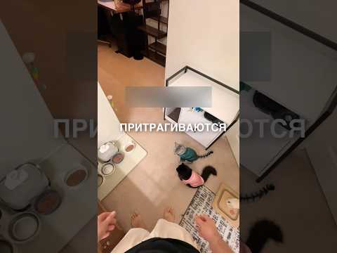 Необычный ритуал перед обедом 😂 #истории #история #новости #новость #shorts