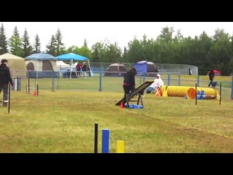 Shyloh 2015 AAC AB/NWT Regional Championships [June 12-14, 2015]