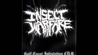 Insect Warfare - Into The Crypt Of Rays (Celtic Frost)