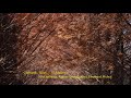 Garbarek : Rites - 13. Malinye