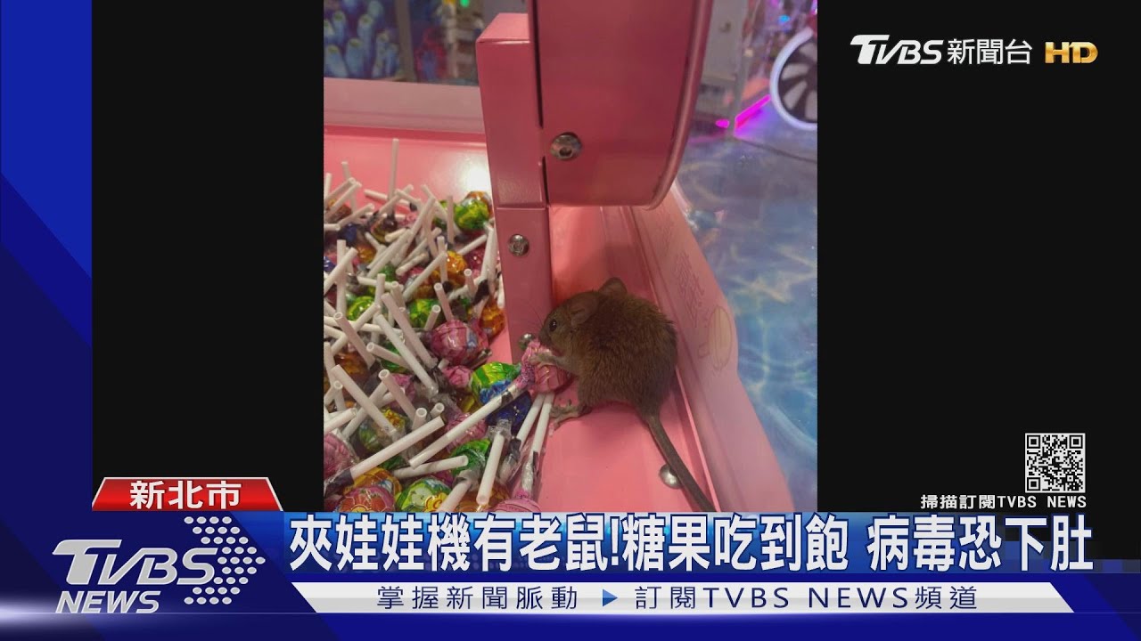 夾娃娃機有老鼠!糖果吃到飽 病毒恐下肚