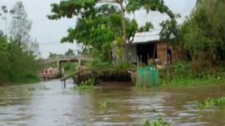 Climate Change Adaptation in Vietnam's Mekong Delta